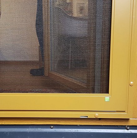 Insektenschutz Insektenschutz